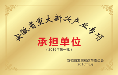 重大新兴产业承担单位
